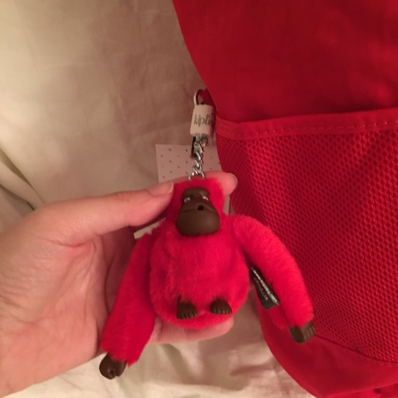 Kipling Backpack - Picture 3 of 8